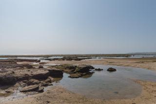 RedDoorz near Pantai Ujung Genteng - 7