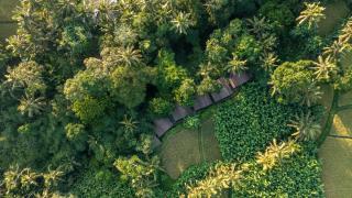 Sacred Canyon Ubud by Pramana Villas - Payangan - 5