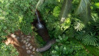 Sacred Canyon Ubud by Pramana Villas - Payangan - 3