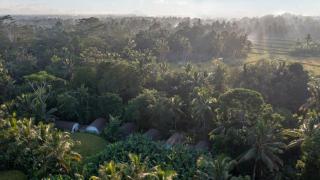 Sacred Canyon Ubud by Pramana Villas - Payangan - 6