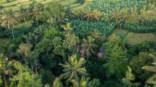 Sacred Canyon Ubud by Pramana Villas - Payangan - 2