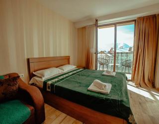 Mountain View_New Gudauri_LOFT 2_flat 456 - Goedaoeri - 0