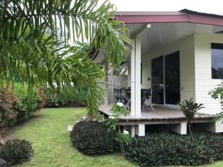 FARE TITAINA - Hauru - 6