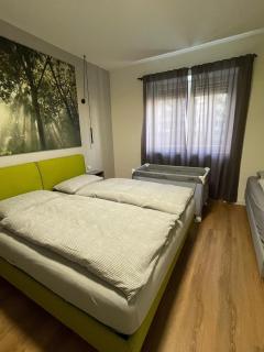 Green View: il verde in città - 3