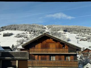 Au Petit Flocon - Appartement 3 pièces, central et proche pistes - parking privé et wifi - Megève - 9