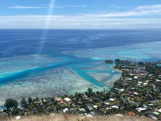 FARE TITAINA - Hauru - 8