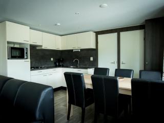 Chalet near Loonse and Drunense Duinen - Udenhout - 5