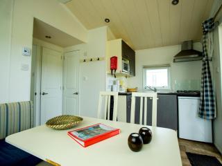 Chalet with veranda near Drunense Dunes - Udenhout - 6