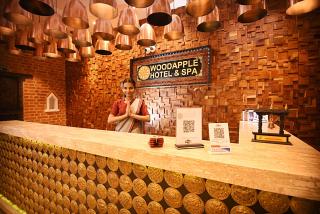 Woodapple Hotel and Spa - Kathmandu - 3