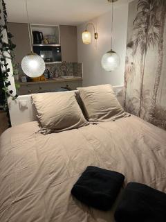 Studio Jungle-Calme rue piétonne - Limoges - 6