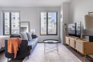 South End studio w gym wd nr groceries BOS-952 - 0