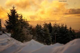 Domaine Bohème I art de vivre - Guebwiller - 9