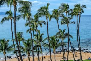 Mana Kai #614 condo - Wailea - 2