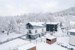 Apartamenty Nadrzeczna nad Wisłą Dream Apart - Ustroń - 1