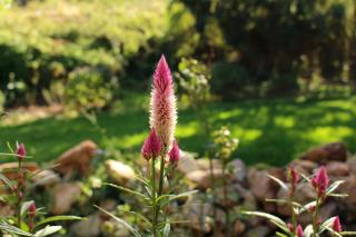 Witrivier Farmstay Self-Catering - Cambria - 8
