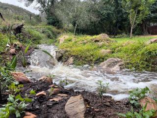 Witrivier Farmstay Self-Catering - Cambria - 4