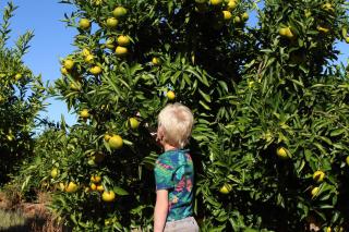 Witrivier Farmstay Self-Catering - 1