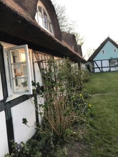 Alte Fischerei - Bodstedt - 2