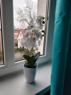 Benny 3 na wyłączność - Toruń - 3