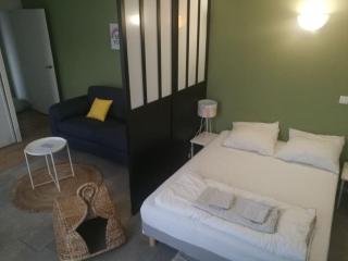 Bordeaux Downtown, pool access - Burdeos - 4