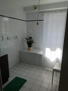 Bordeaux Downtown, pool access - Burdeos - 6