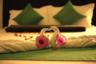 Palm Beach Resort Ceylon - 7