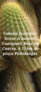 Cabaña ecológica - Guangualí - 3