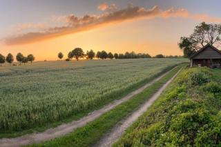 Ferienhaus am Poggensee - 7