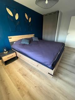 Charmant appartement Cosy porte de Colmar - Sainte-Croix-en-Plaine - 9
