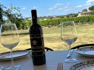 Gîte au coeur du vignoble de Saint-Emilion - Saint-Sulpice-de-Faleyrens - 6