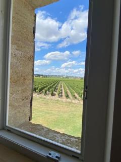 Gîte au coeur du vignoble de Saint-Emilion - Saint-Sulpice-de-Faleyrens - 3