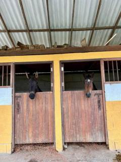 Finca Sierra Luz - 2