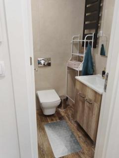 Apartman Lux Jovanović - GK - Zlatibor - 6