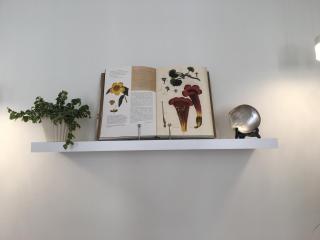 Appartement cœur vieille ville - 5