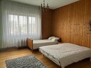 Logement spacieux - Mulhouse - 1
