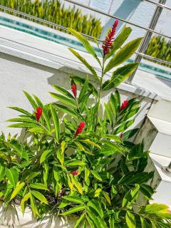 Apto Térreo com 2 quartos (ambos com ar split), sendo 1 suíte, internet privativa 300MBPS, no Residencial Vila Regina, condominio com piscina e área gourmet bem próximo a praia de Taperapuã - 8