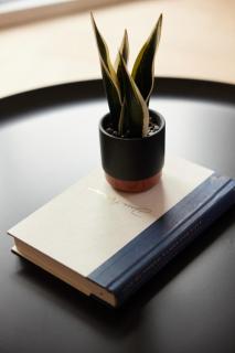 Chic 2 Bedroom apartment in Le Plateau by Denstays - 5