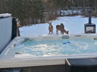 Spacieuse propriété pour grande famille avec activités et spa 10 p - 6