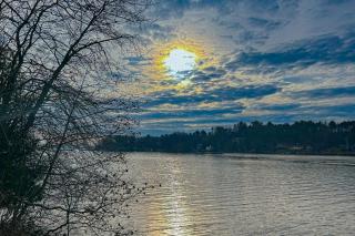 Bomo Hacienda - Castleton - 7