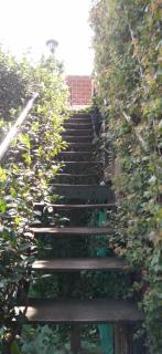 Sojuramaiju Departamento - 6