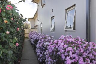 The Suites Ashburton - 3