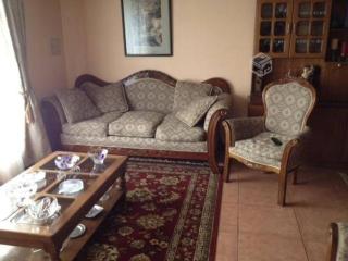 Casa excelente! equipada por día en Puerto Varas - 0