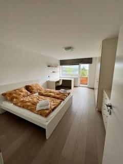 Great spacious villa near Prague - - 8