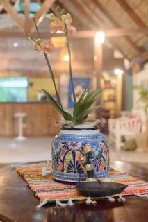 Caribbean Flow - 5