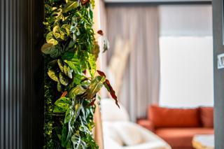 Górski Eden by Comfort Apartments - Szklarska Poręba - 5