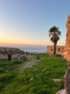 Beit Philodemus - Umm Qays - 6