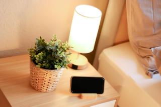 Hygge Homes - Traumhafte Altbauwohnung nahe Lüneburgs Altstadt - 7