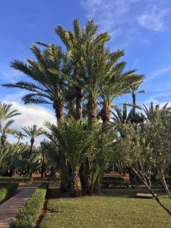 Appartement paisible et abordable Palmeraie Marrakech - Dar Caïd Layadi - 1