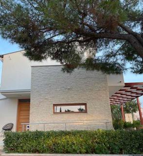 Pine Tree Villa - Pakoštane - 8