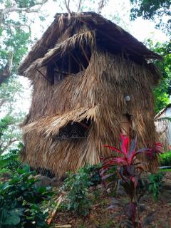 El Bamboo Cabins - Balgue - 1